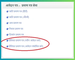 e District : eDistrict UP (उत्तरप्रदेश) – आय, जाति, निवास, चरित्र प्रमाण, हैसियत प्रमाणपत्र