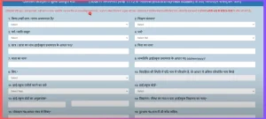 Scholarship UP Scholarship UP